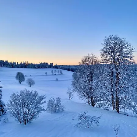 Gaestehaus Steiert Kuhbergblick *