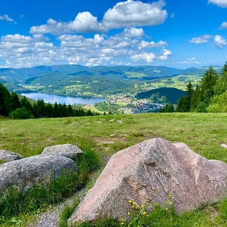 Gaestehaus Steiert Kuhbergblick Apartamento *