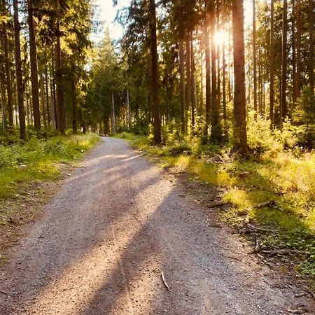 Gaestehaus Steiert Kuhbergblick Apartamento *