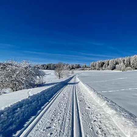 Gaestehaus Steiert Kuhbergblick Lenzkirch